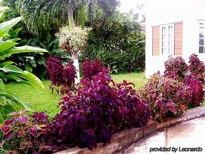 Hotel Freedom Palace Ocho Rios
